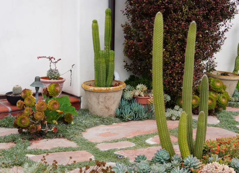Smart Drops: The New Wave of Water-Wise Homes Redefining Outdoor Living in Pueblo Grande
